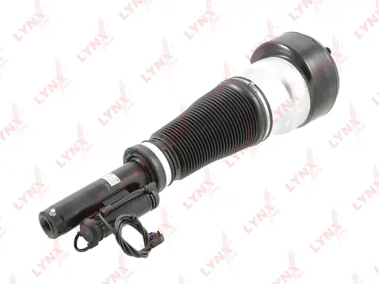 Air Suspension Strut (G42006LR)