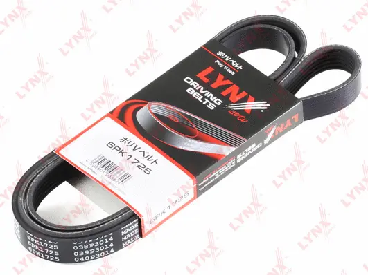 V-Ribbed Belt (6PK1725)