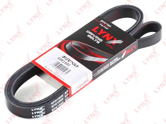 V-Ribbed Belt (6PK1880)