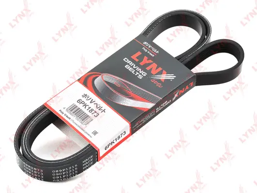 V-Ribbed Belt (6PK1873)