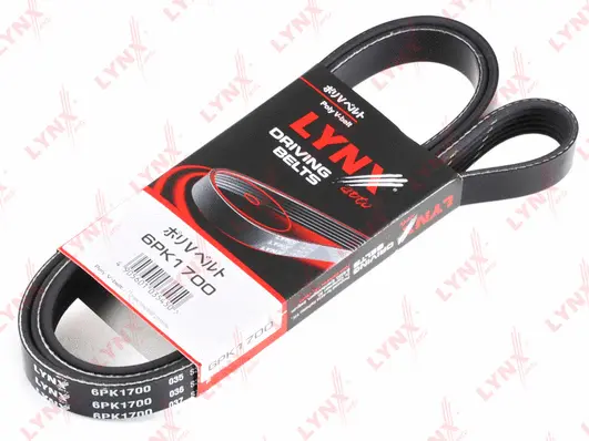 V-Ribbed Belt (6PK1700)