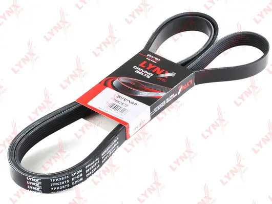 V-Ribbed Belt (7PK2875)