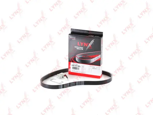V-Ribbed Belt (6PK1019EL)