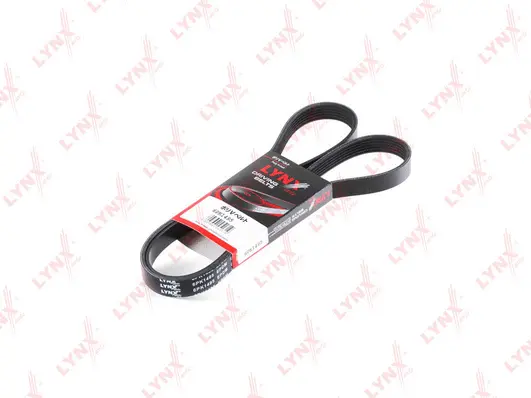 V-Ribbed Belt (6PK1495)
