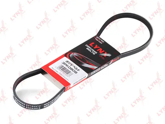 V-Ribbed Belt (3PK0808)