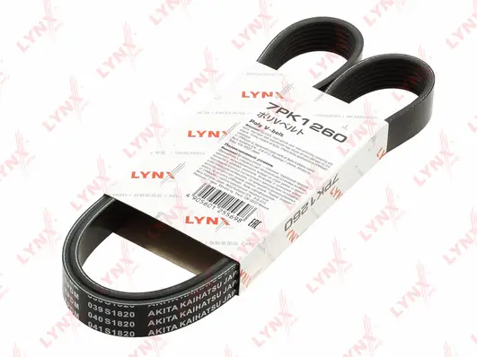 V-Ribbed Belt (7PK1260)