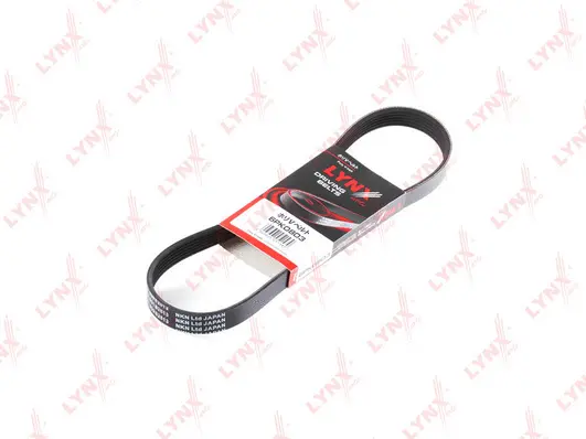 V-Ribbed Belt (6PK0803)