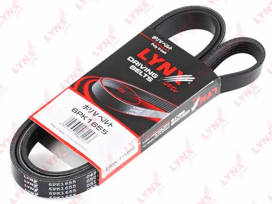 V-Ribbed Belt (6PK1655)