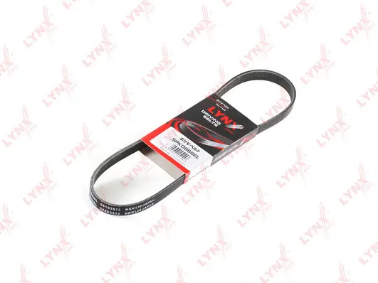 V-Ribbed Belt (5PK0868EL)