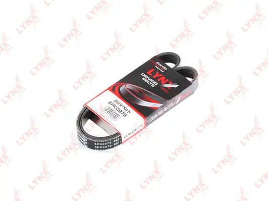 V-Ribbed Belt (6PK0975)
