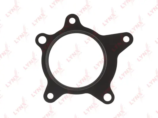 Gasket, water pump (SG-1748)