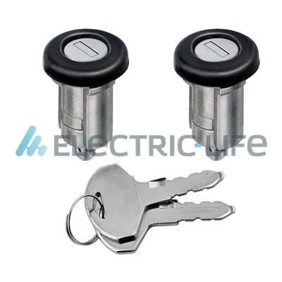 Lock Cylinder Housing (ZR80541)