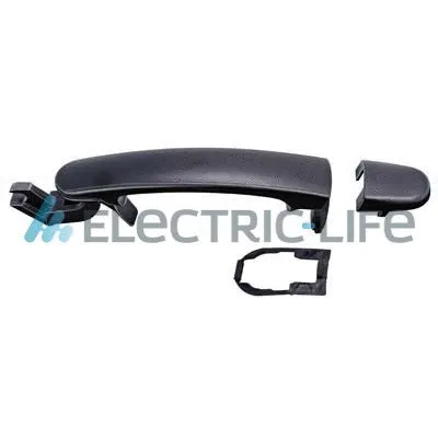 Exterior Door Handle (ZR8094109)