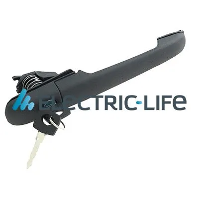 Exterior Door Handle (ZR80732)