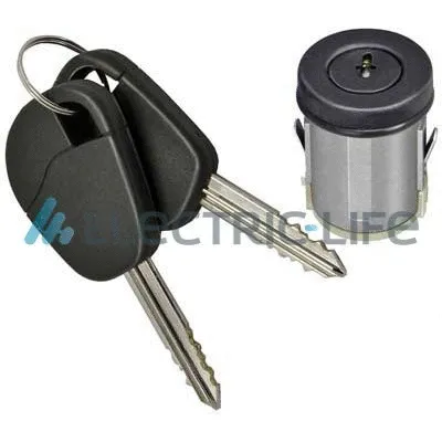 Lock Cylinder (ZR801028)
