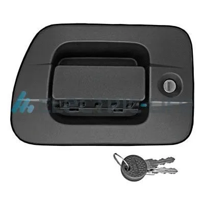 Exterior Door Handle (ZR80495SC)