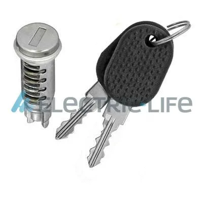 Lock Cylinder (ZR801018F)