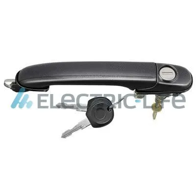Exterior Door Handle (ZR8076208)