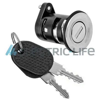 Lock Cylinder Housing (ZR80460)