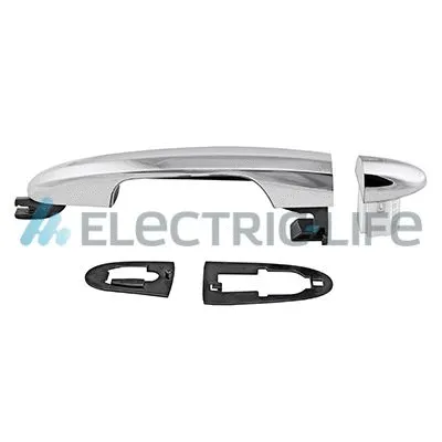 Exterior Door Handle (ZR80846)