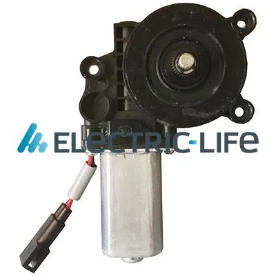 Electric Motor, window regulator (ZR FR102 R)