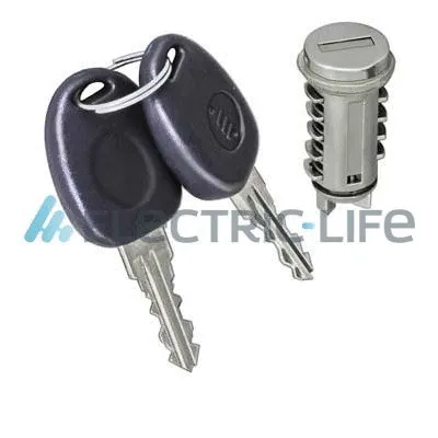 Lock Cylinder (ZR801019)