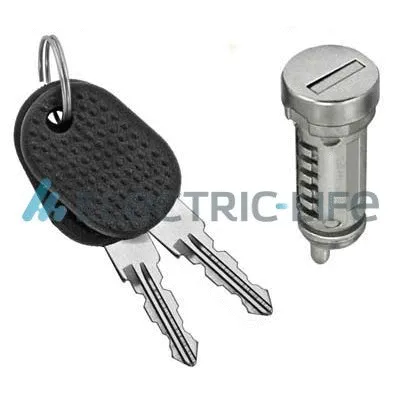 Lock Cylinder (ZR801011)