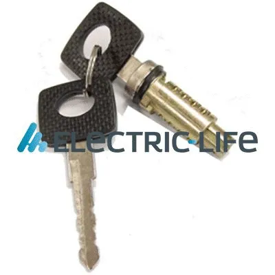 Exterior Door Handle (ZR801035)