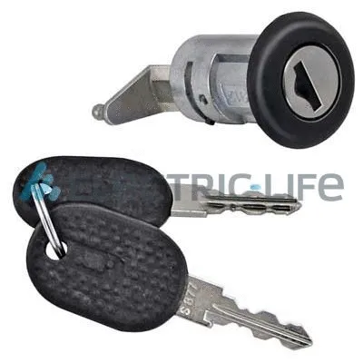 Lock Cylinder Housing (ZR80279SC)