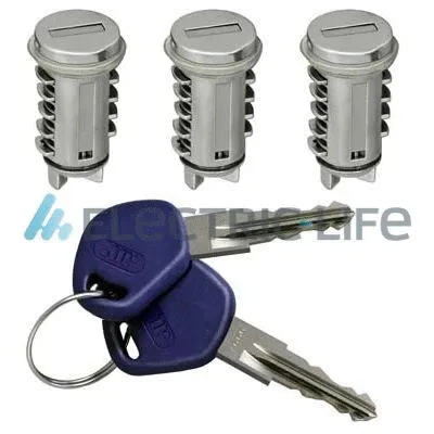 Lock Cylinder (ZR801208)