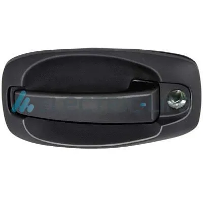 Exterior Door Handle (ZR80683)