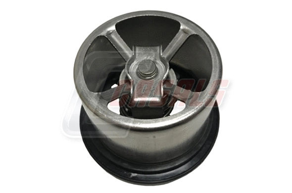 Thermostat, coolant (65901)