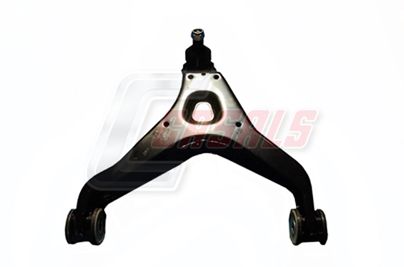 Control/Trailing Arm, wheel suspension (R0118)