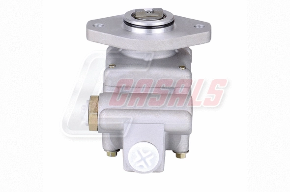 Hydraulic Pump, steering (97576)