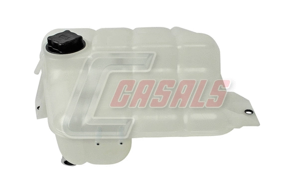 Expansion Tank, coolant (479)
