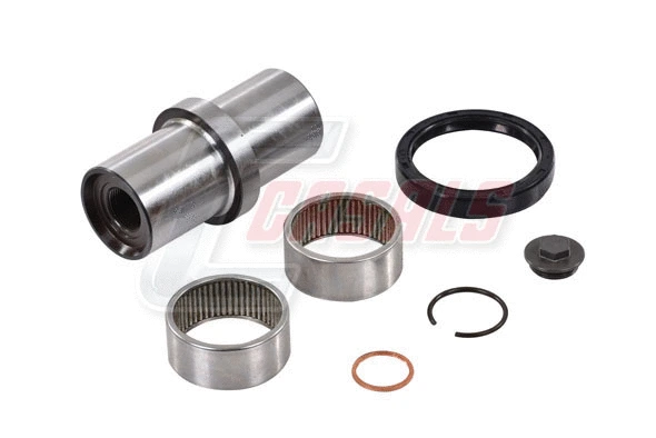 Repair Kit, kingpin (69226)