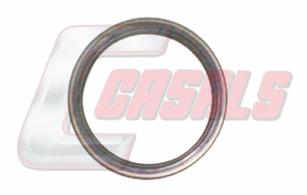 Shaft Seal, wheel hub (20215)