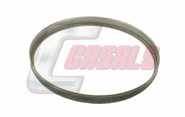 Shaft Seal, wheel hub (20444)