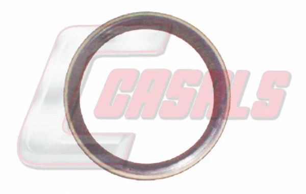 Shaft Seal, wheel hub (20216)