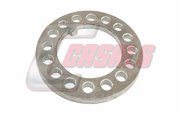 Shaft Seal, wheel hub (20109)