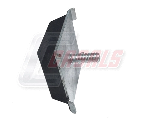 Bush, spring eye (80723)