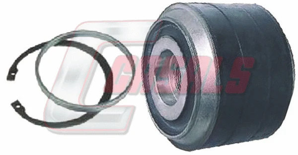 Repair Kit, control/trailing arm (R3474)