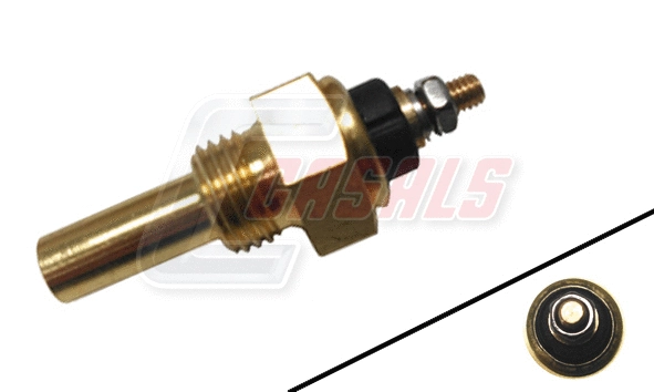 Sensor (65365)