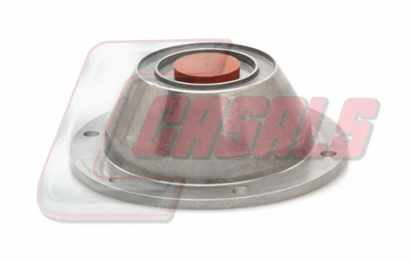 Cap, wheel bearing (9706)