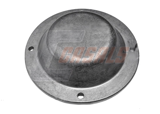 Protection Lid, wheel hub (20492)