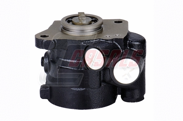 Hydraulic Pump, steering (97540)