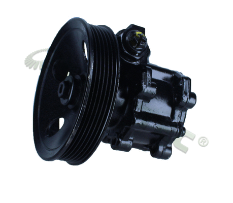 Hydraulic Pump, steering (HP976)
