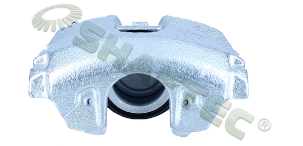 Brake Caliper (BC9641R)