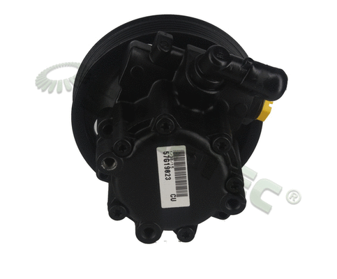 Hydraulic Pump, steering (HP1307)