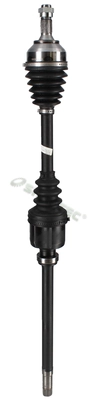 Drive Shaft (C273RN)